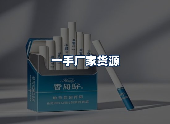 专业团队办公环境